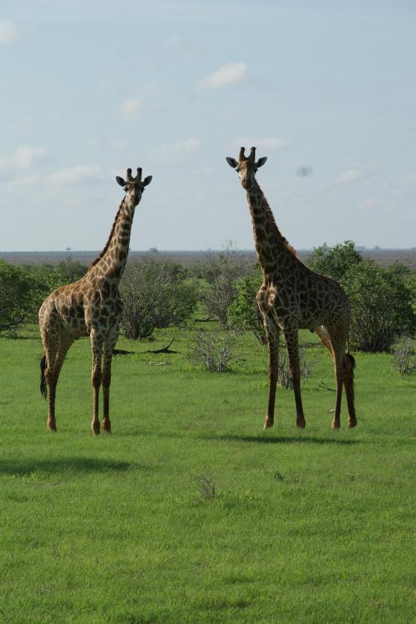 Ghelli House - Milele Resort Watamu Bagian luar foto